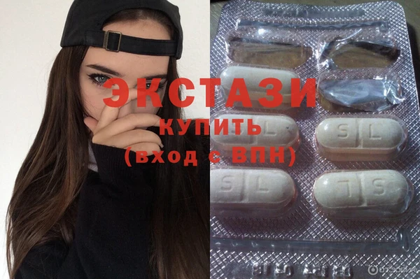 гашик Алексин