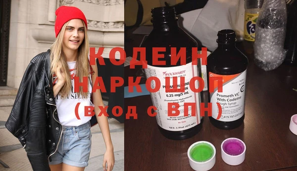 гашик Алексин
